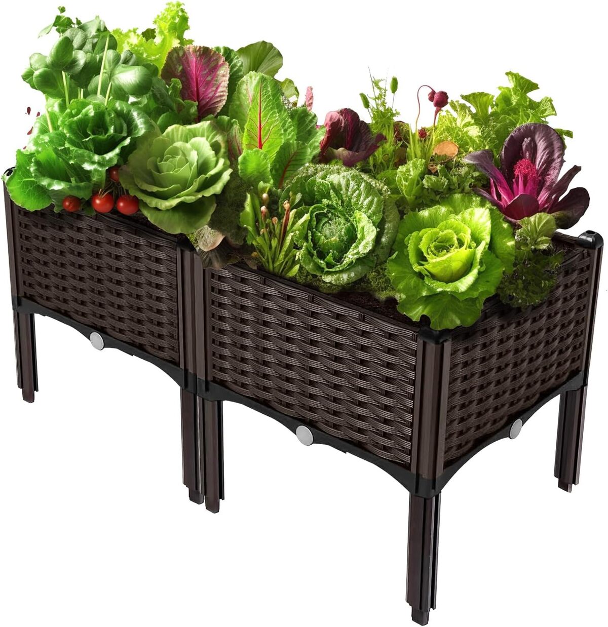 Test de la jardinière surélevée Holy Fire : solution de jardinage polyvalente