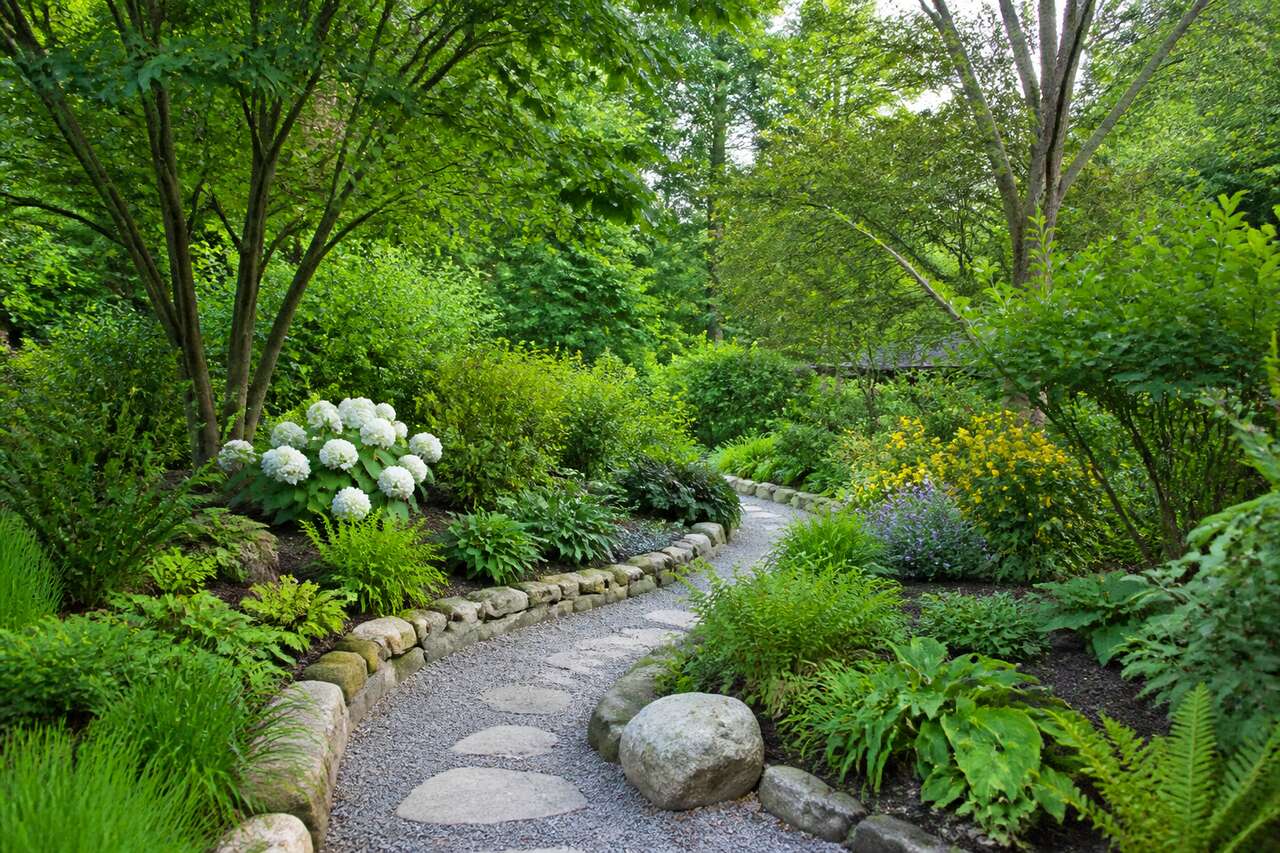 Choisir des plantes adapt&eacute;es et locales pour un jardin beau et robuste