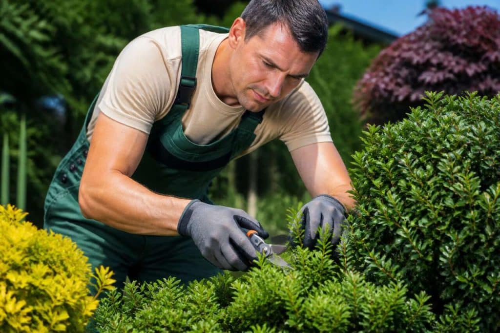 Comment choisir un bon jardinier ?