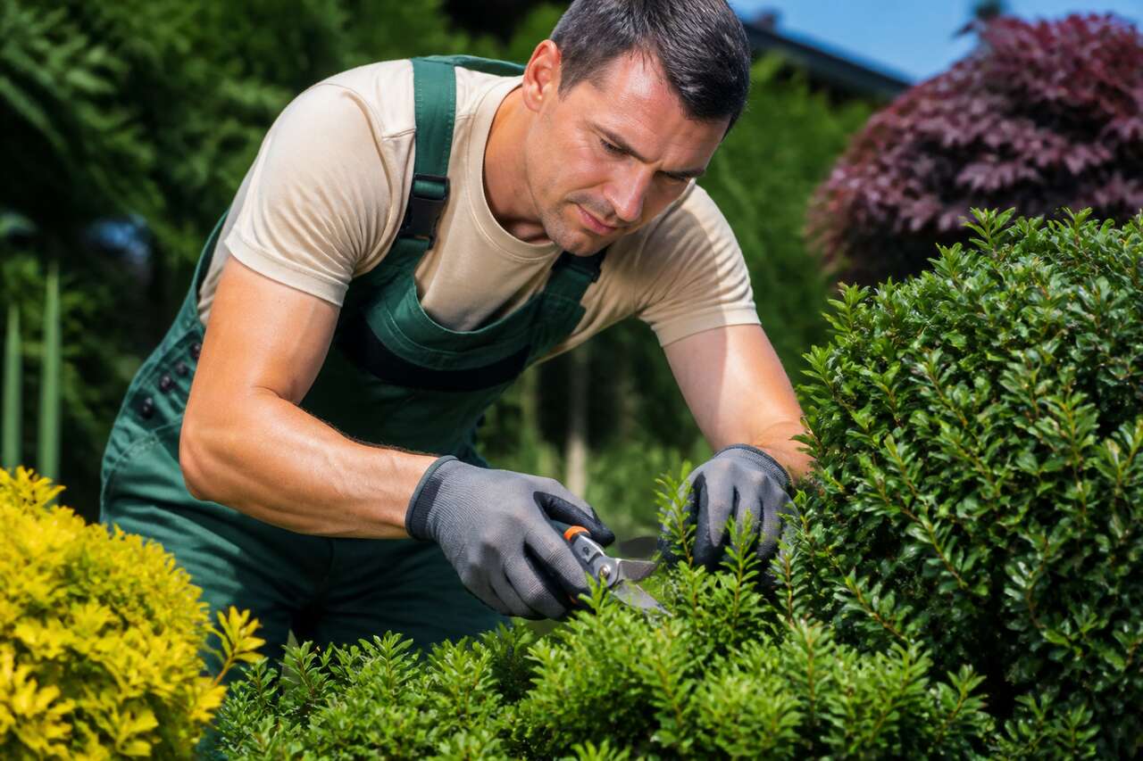 Comment choisir un bon jardinier ?