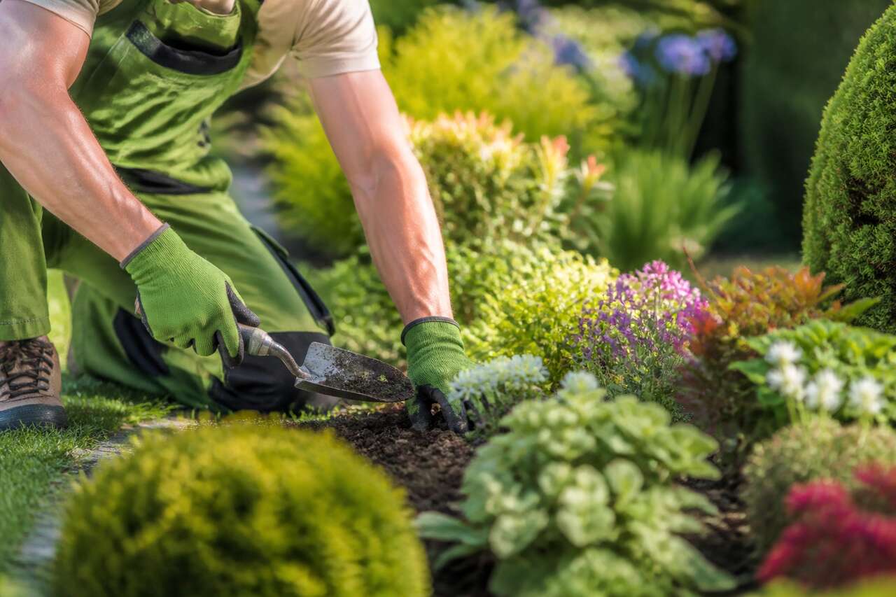 Prix d'un jardinier : tarifs horaires, forfaits, cesu et crédit d'impôt Prix d'un jardinier : tarifs horaires, forfaits, cesu et crédit d'impôt