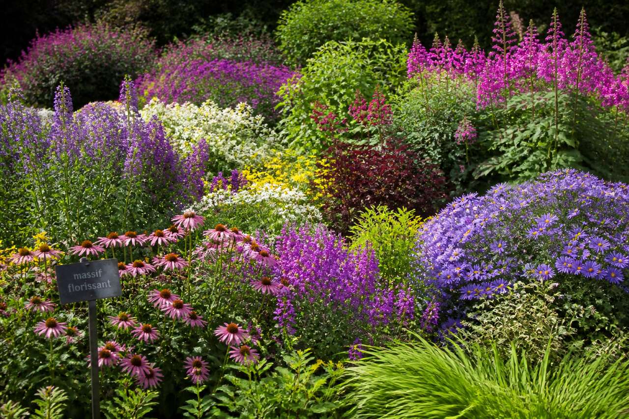 Planter et composer un massif de vivaces qui fonctionne Planter et composer un massif de vivaces qui fonctionne